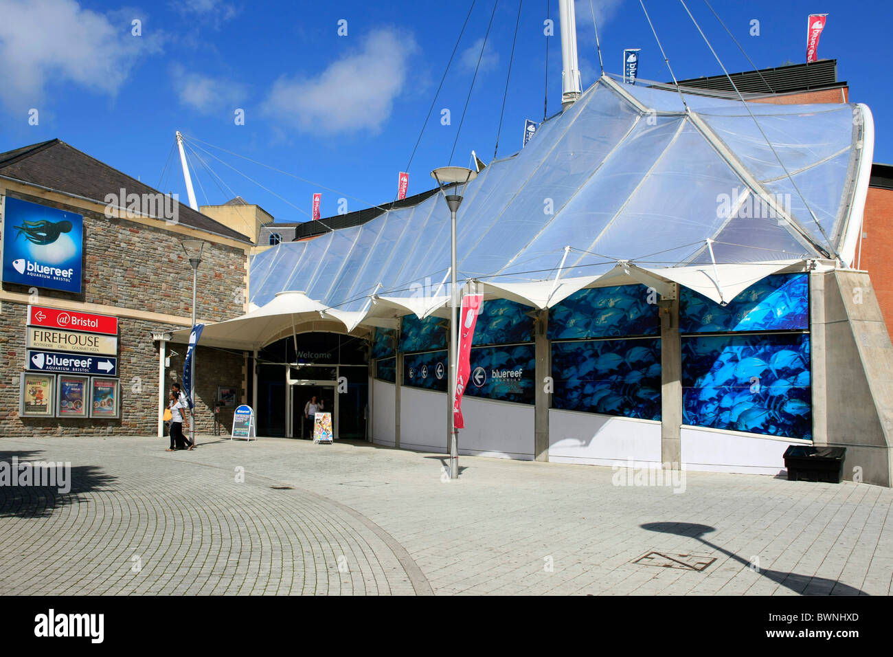 Il bristol bluereef aquarium Foto Stock