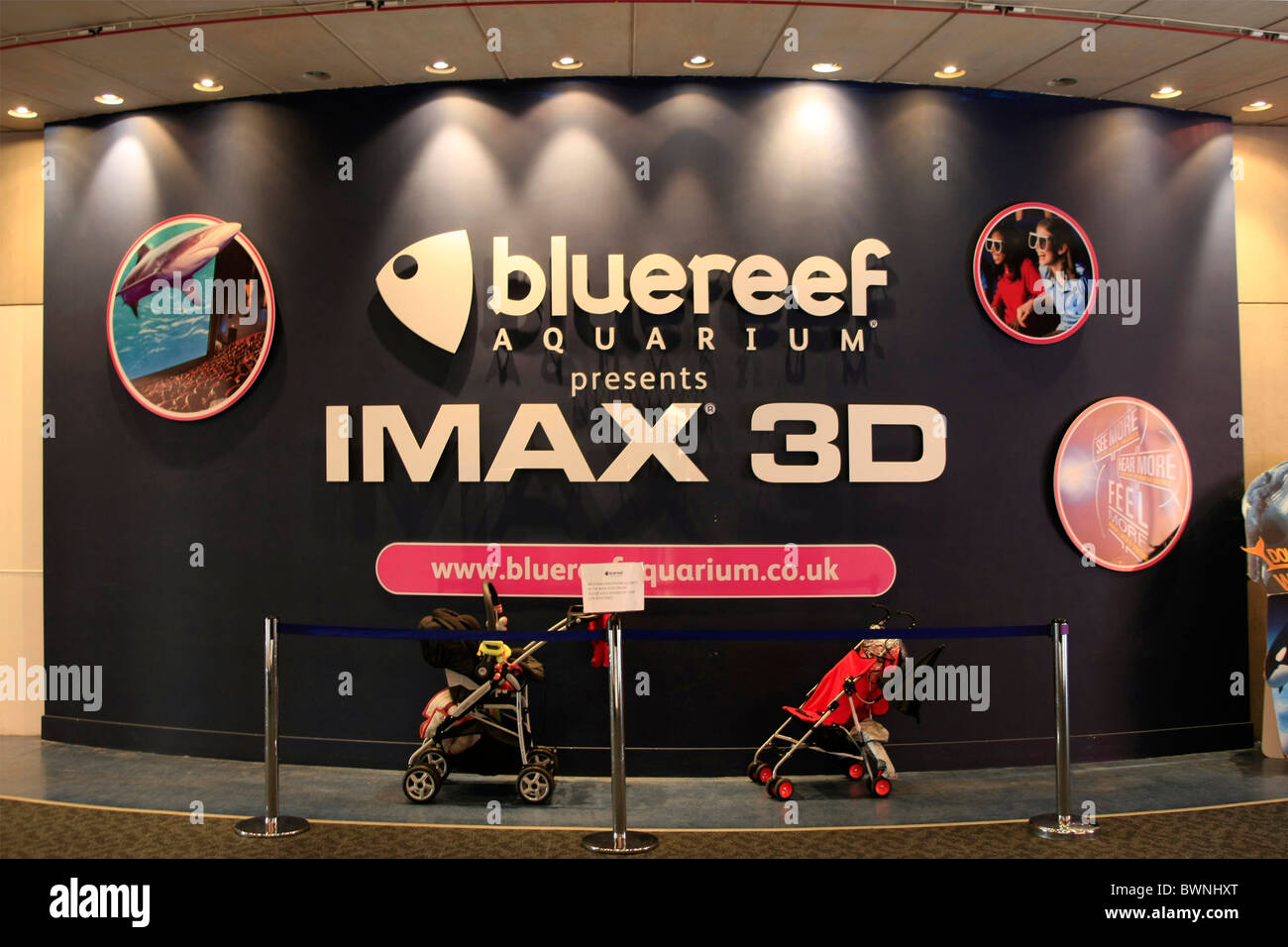 L'Acquario Bluereef Cinema Imax 3D a Bristol Inghilterra Foto Stock