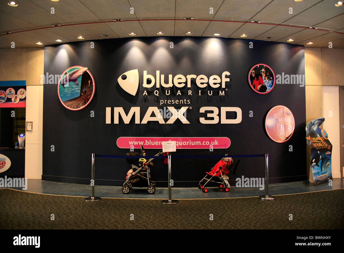 L'Acquario Bluereef Cinema Imax 3D a Bristol Inghilterra Foto Stock