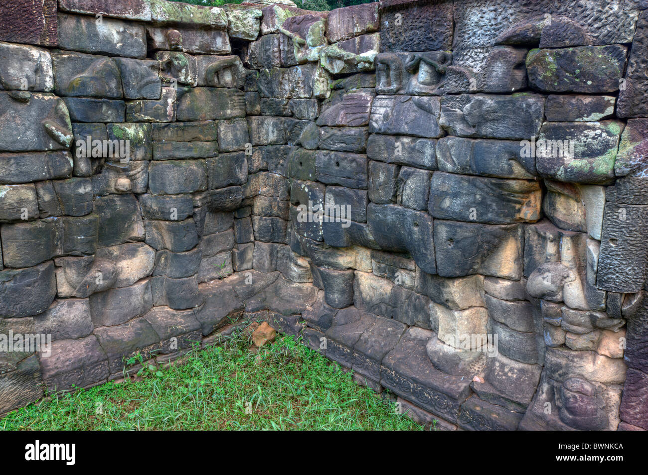 Gli elefanti terrazza del Palazzo Reale, Angkor Thom, Angkor, Sito Patrimonio Mondiale dell'UNESCO, Cambogia, Indocina, Asia sud-orientale, Asia Foto Stock