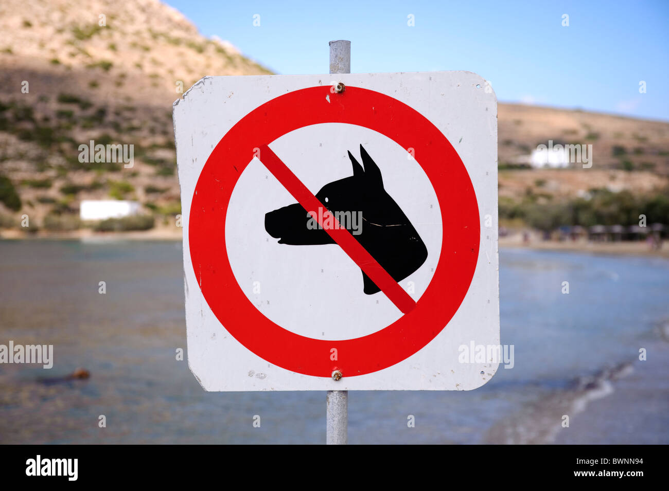 'Non sono ammessi cani ' segno vicino alla spiaggia di Galissas, sul Greco Cyclade isola di Syros. Foto Stock