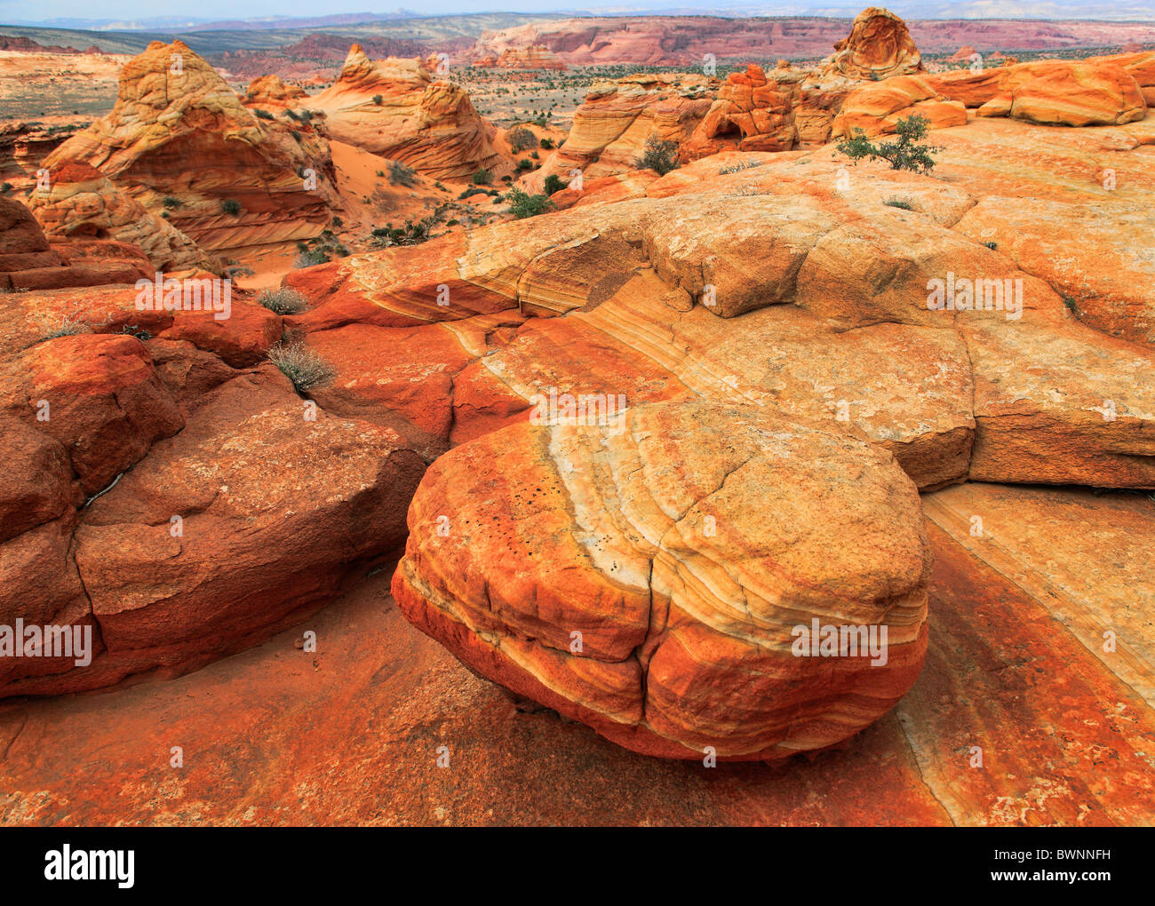 Le formazioni rocciose in Vermiglio scogliere monumento nazionale, Arizona Foto Stock