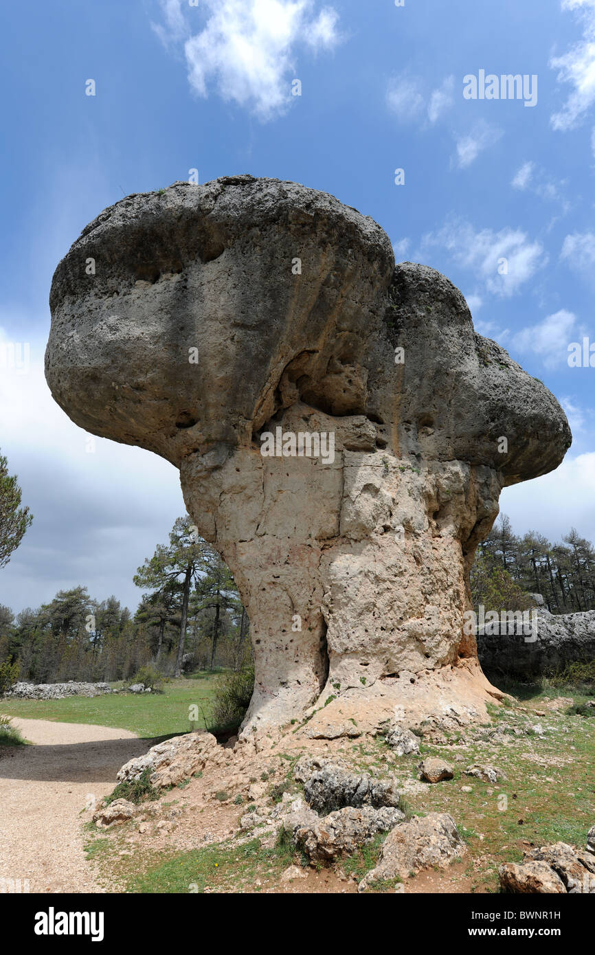 Calcare roccia carsica formazione, il fungo Ciudad Encantada, Provincia Cuenca, Castilla la Mancha, in Spagna Foto Stock
