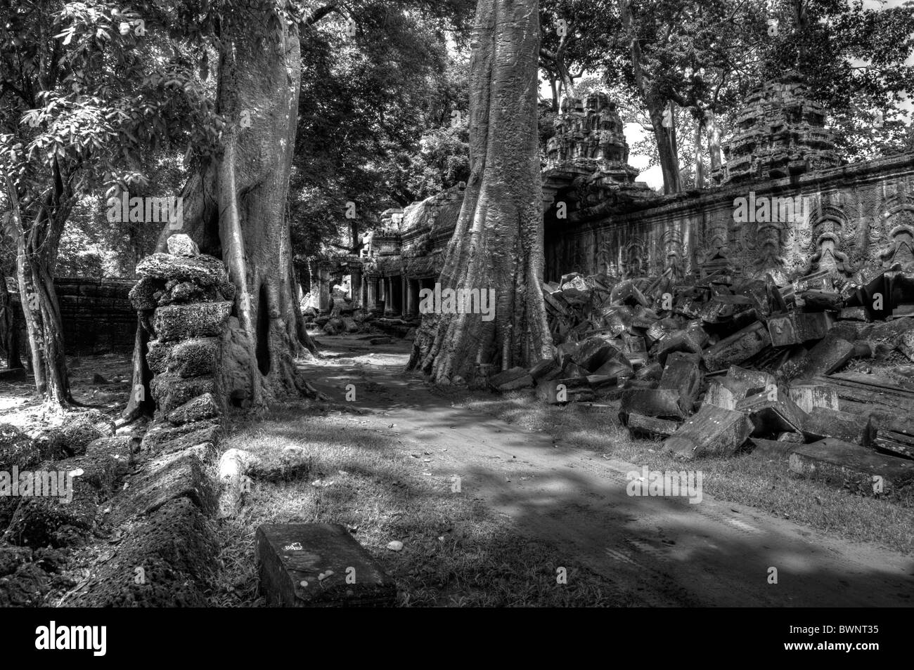 Rovine a sito archeologico, Ta Prohm tempio di Angkor, Sito Patrimonio Mondiale dell'UNESCO, Cambogia, Indocina, Asia sud-orientale, Asia Foto Stock