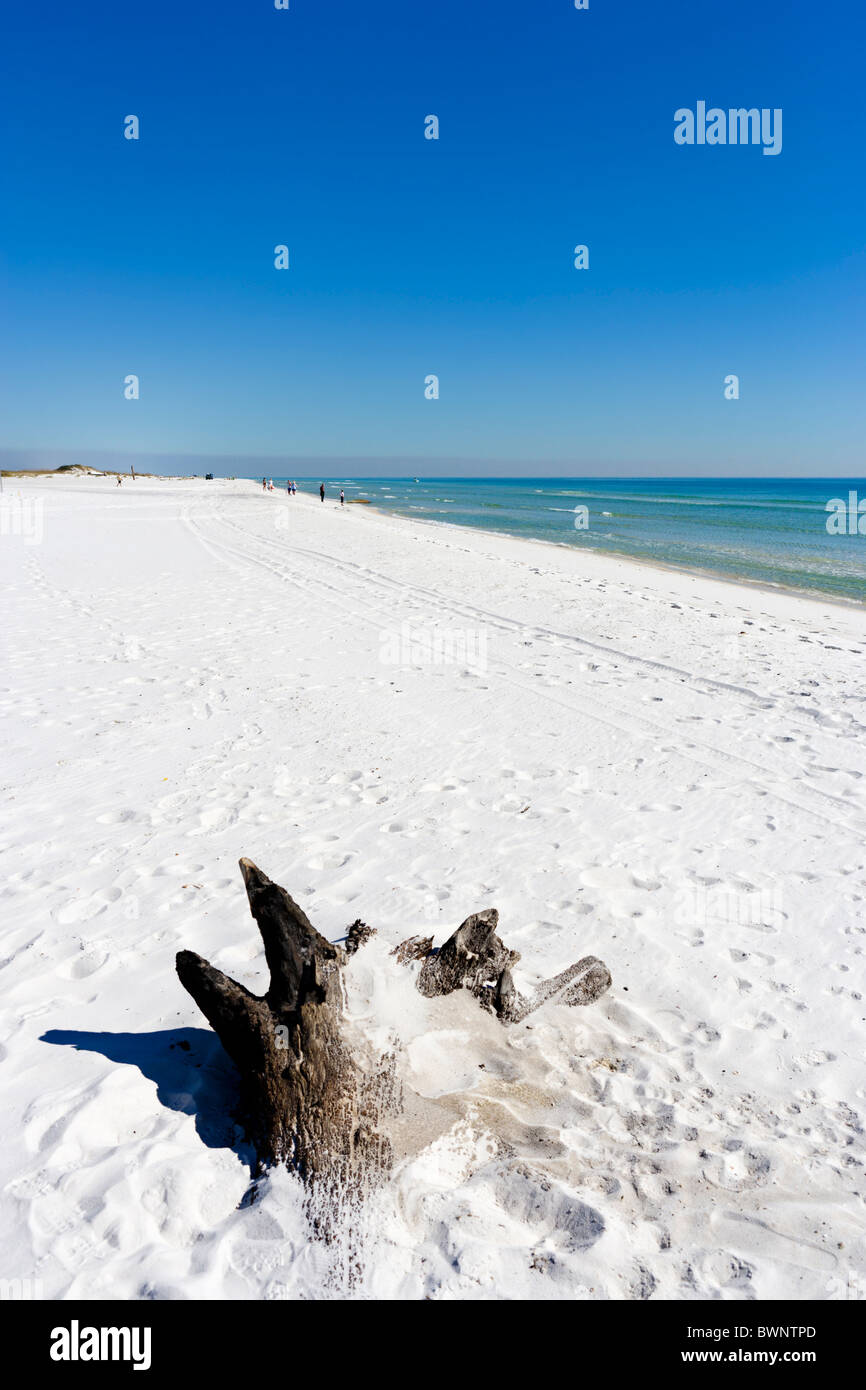 In Spiaggia Gulf Islands National Seashore, la spiaggia di Pensacola, Isola di Santa Rosa, costa del Golfo della Florida, Stati Uniti d'America Foto Stock