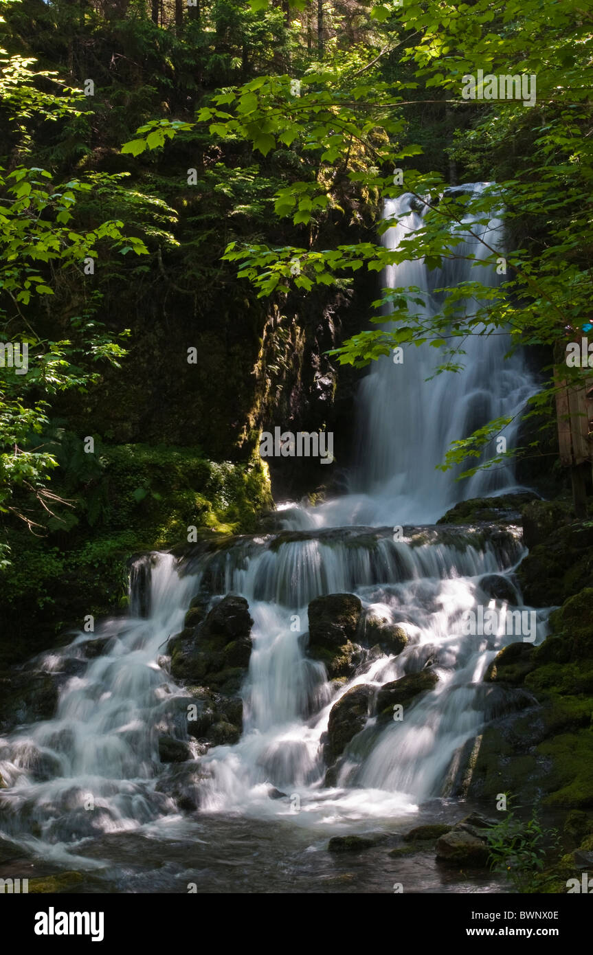 Cascate di Dickson nel Parco Nazionale di Fundy, Alma, New Brunswick, The Maritimes, Canada. Foto Stock