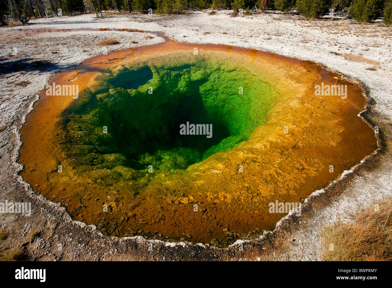 Yellowstone è splendidamente colorati e incredibile gloria di mattina la piscina Foto Stock