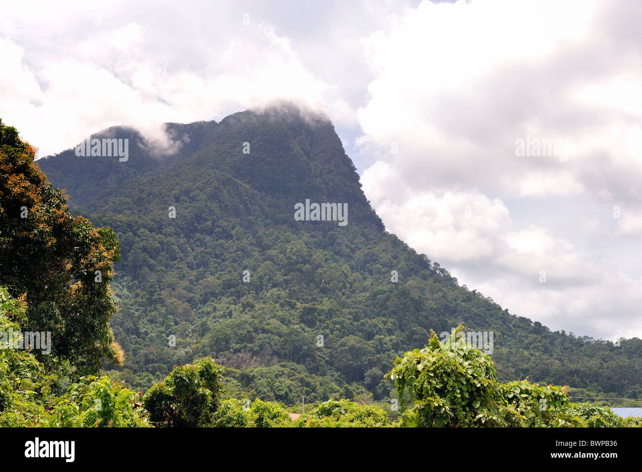 Il Monte Santubong, vicino a Kuching, Sarawak, Malaysia con le nuvole di toccare il picco Foto Stock