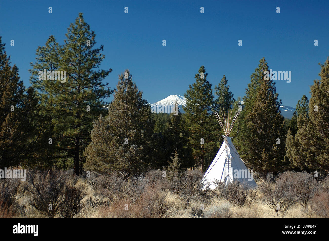 USA America Stati Uniti nord america Oregon tende Tepee Mount Bachelor teepee tenda la foresta di conifere alberi terra Foto Stock