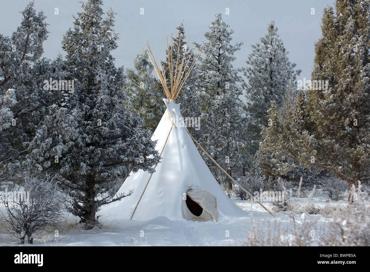 USA America Stati Uniti nord america Oregon tende Tepee teepee tenda la foresta di conifere alberi natura di paesaggio c Foto Stock