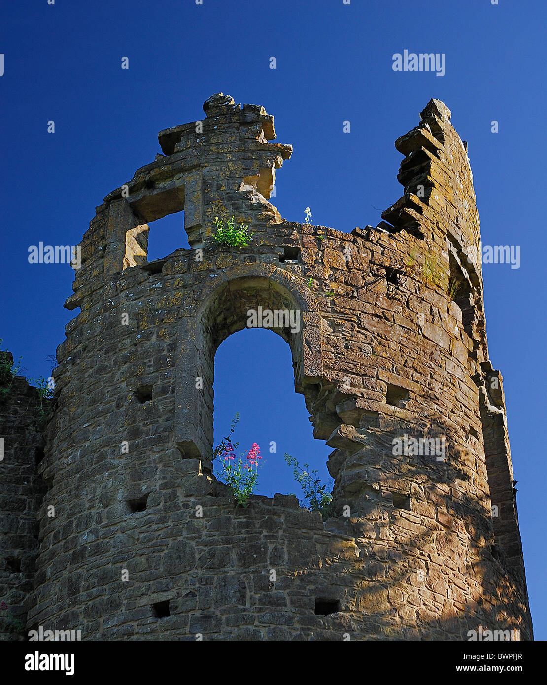L'Irlanda contea Westmeath Belvedere House Foto Stock