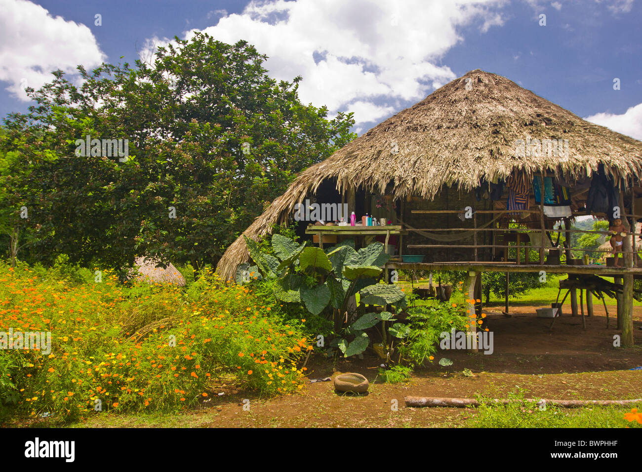 Il lago di BAYANO, PANAMA - Embera village, Comarca Kuna de Madungandi territorio indigeno. Foto Stock