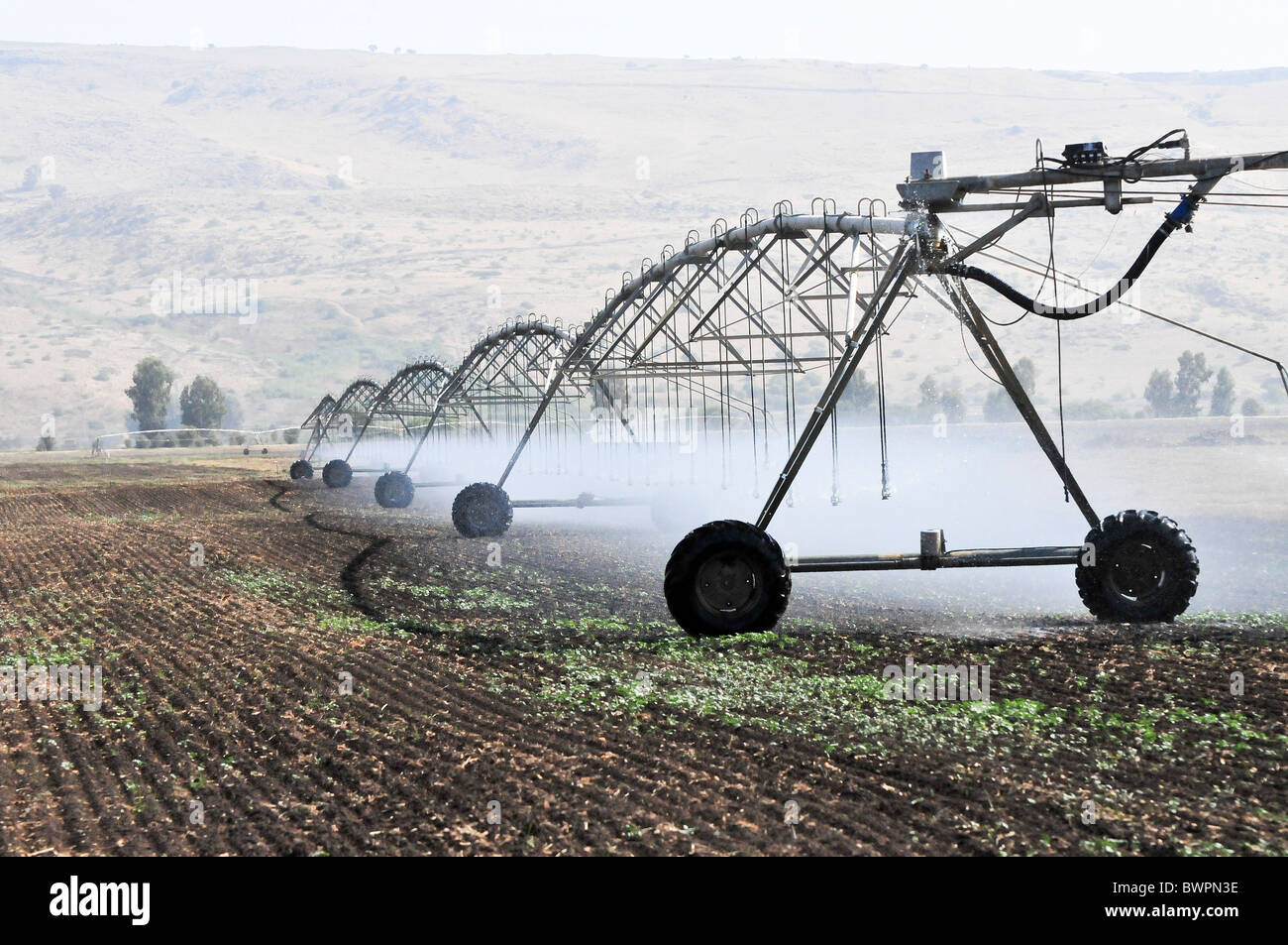 Israele, Valle di Hula, irrigazione irrigazione robot un campo Foto stock -  Alamy