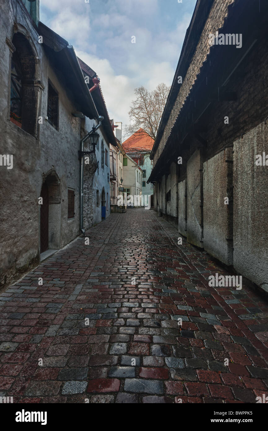Vecchie case di Tallinn in Katarina street presi in HDR per meglio mostrare i dettagli nelle pareti e pavimentazione Foto Stock