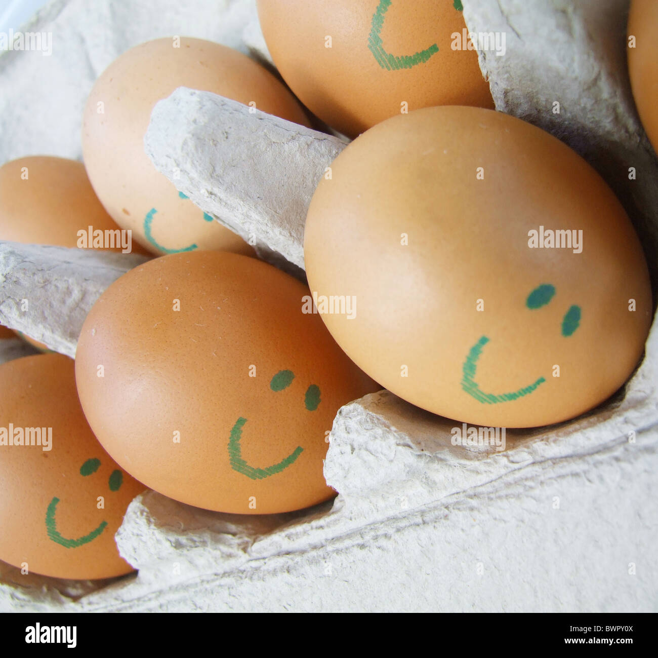 Uova Australia Queensland Innisfail uovo di pollo alimentare pasqua sorriso volto sorridente fresca felice fortunato la salute Foto Stock
