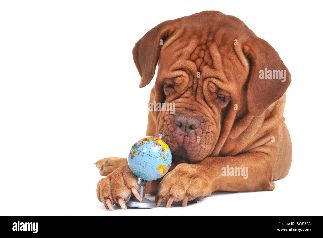 Il nostro mondo è in mani sicure Foto Stock