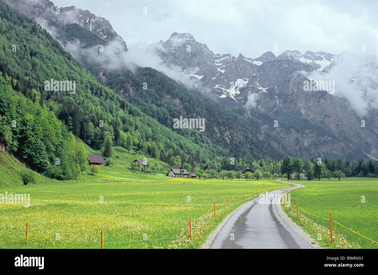 La Slovenia Valle Logarska Karavanken montagne delle Alpi della Savinja paesaggio di montagna Europa tratto di strada nuvole Foto Stock