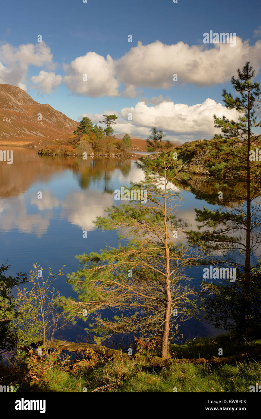 Pomeriggio autunnale a Llynnau Cregennen lago in Snowdonia Wales UK Foto Stock