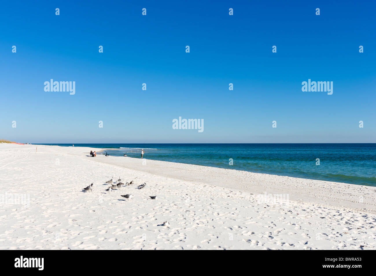 Spiaggia a Golfo del parco statale, Gulf Shores, Gulf Coast, Alabama, STATI UNITI D'AMERICA Foto Stock