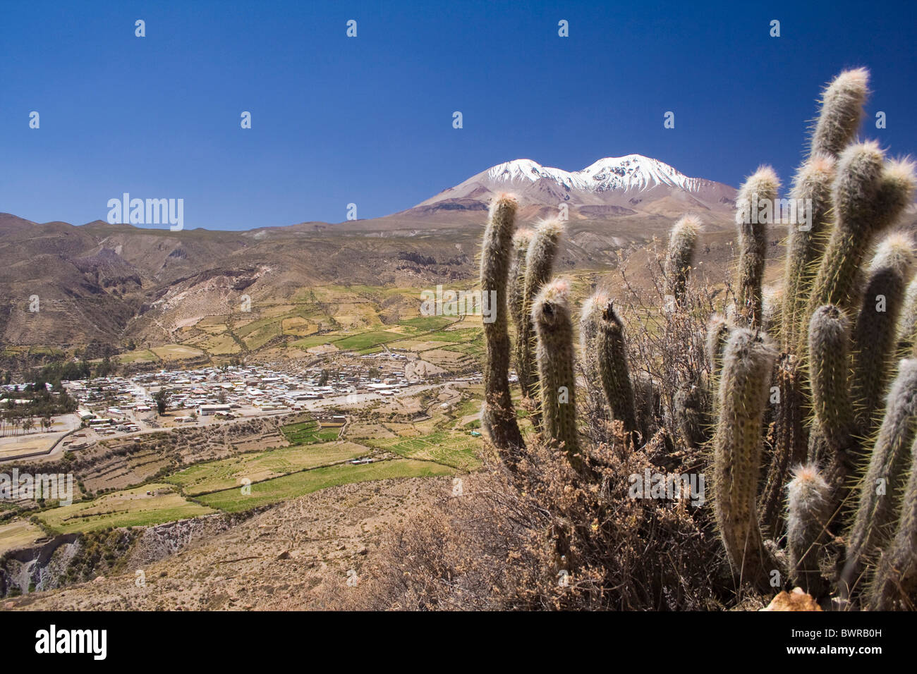 Il Cile America del Sud Villaggio Putre Altiplano America del Sud Andino popolo aymara mountain montagne highland ca Foto Stock