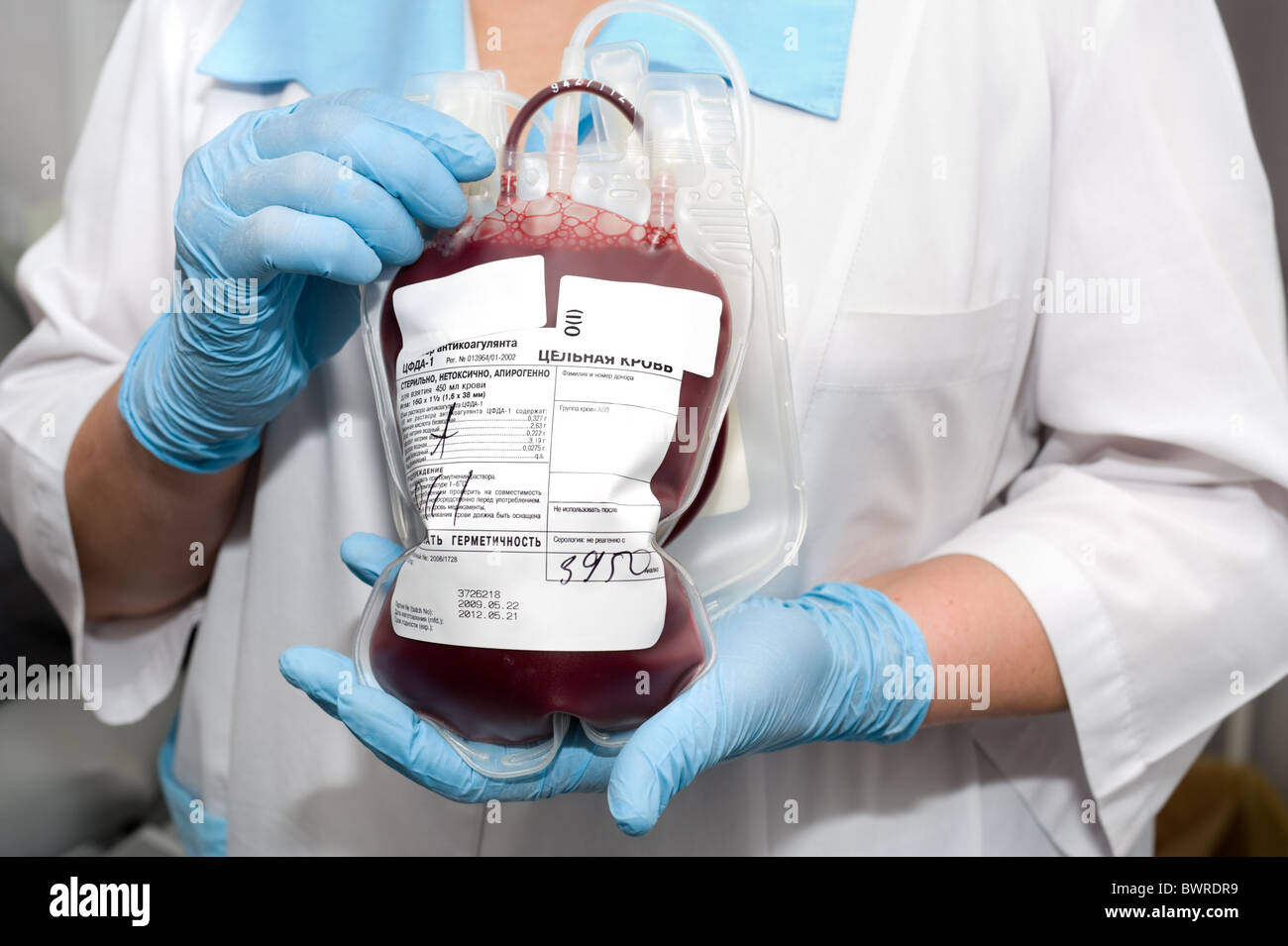 Confezione trasparente del donatore di fresco sangue intero nelle mani degli infermieri Foto Stock