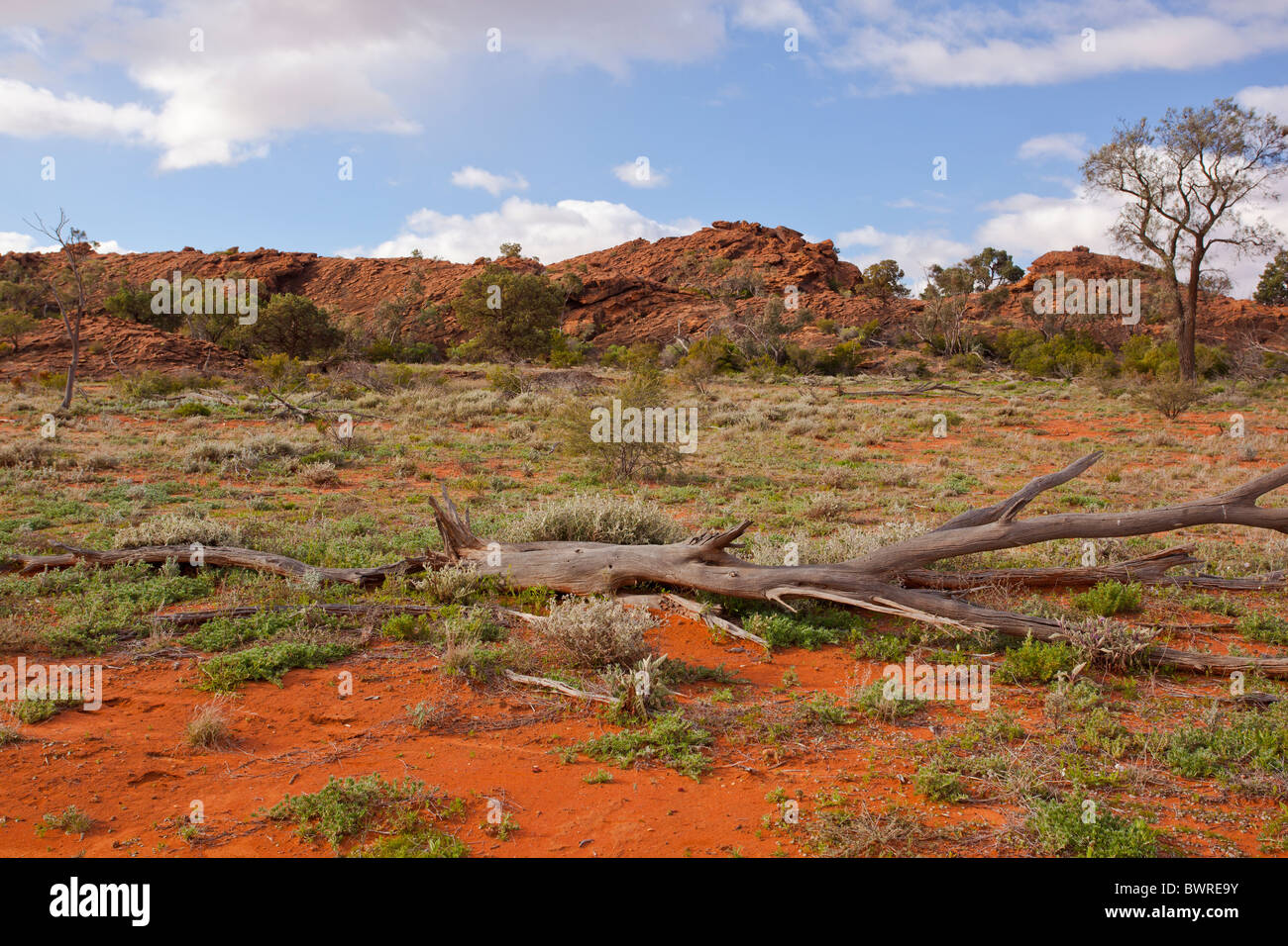 Rocky red hills, albero morto e sabbia rossa in primo piano, Mutawintji National Park, New South Wales, Australia Foto Stock