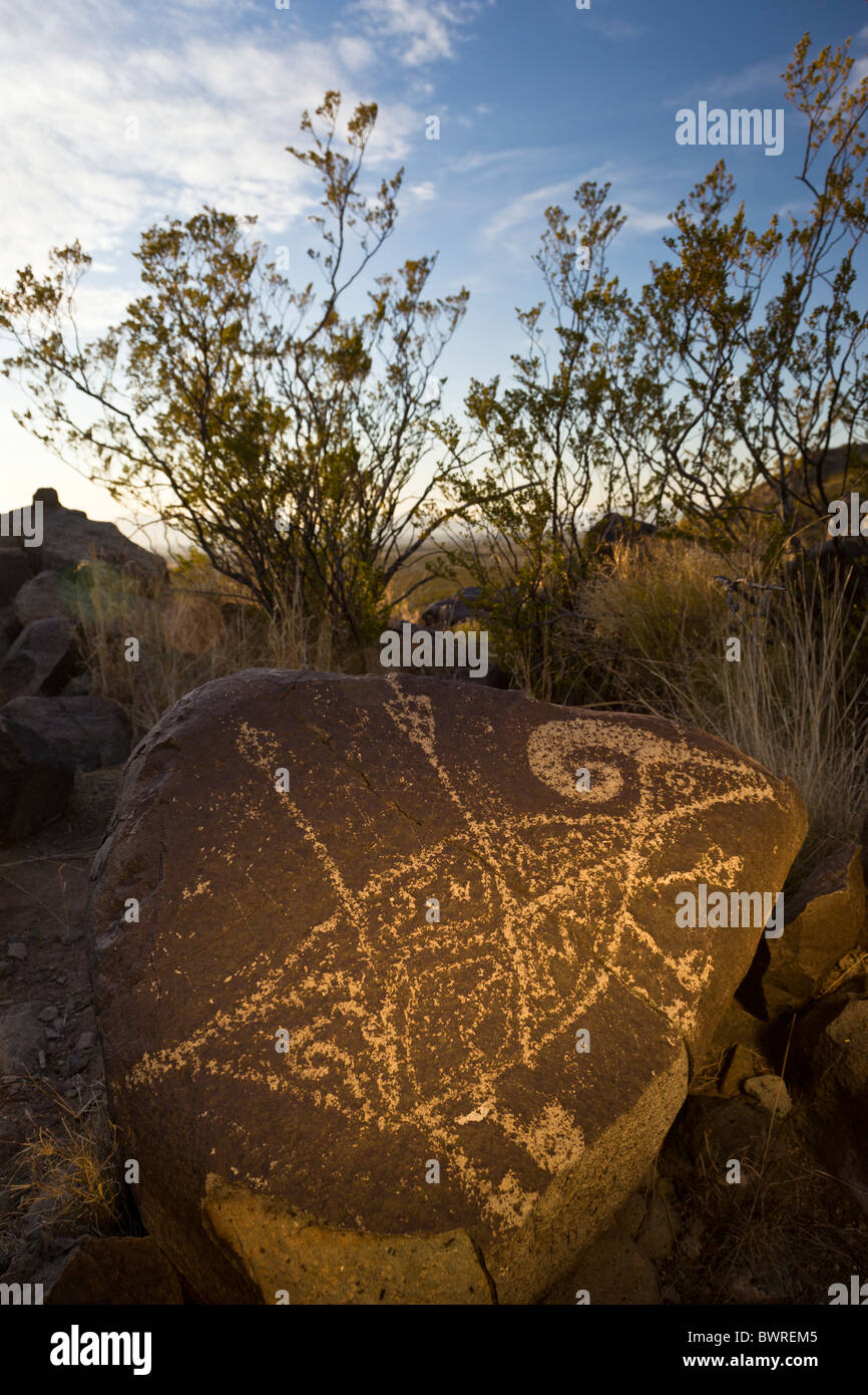 Petroglyph raffigurante la caccia di bighorn da La Jornada Mogollon a tre fiumi Petroglyph Sito, Nuovo Messico USA. Foto Stock