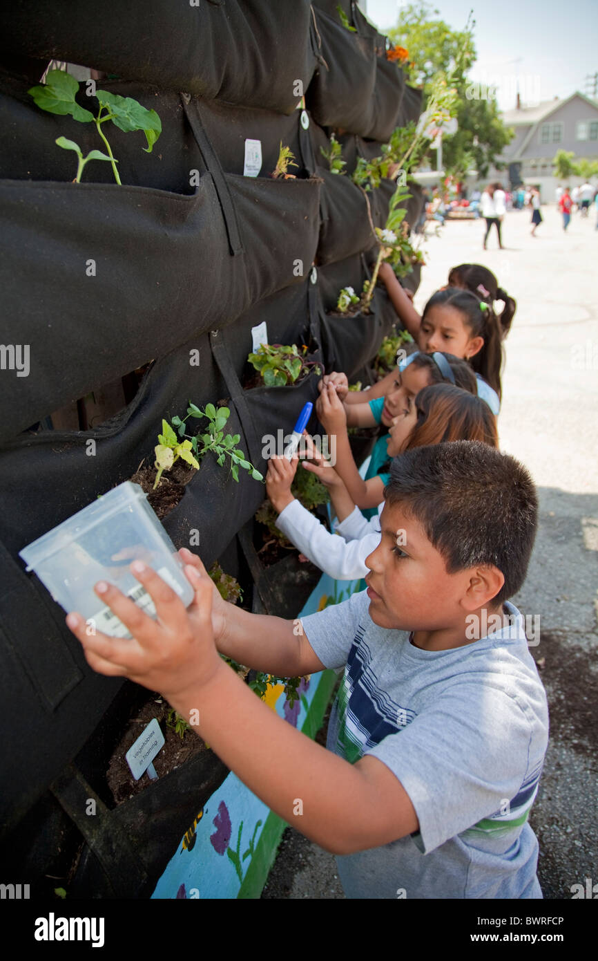 Lanosi Pocket giardino verticale staffe al Centro Scuola di valore, una carta scuola nel centro di Los Angeles, California, Stati Uniti d'America Foto Stock