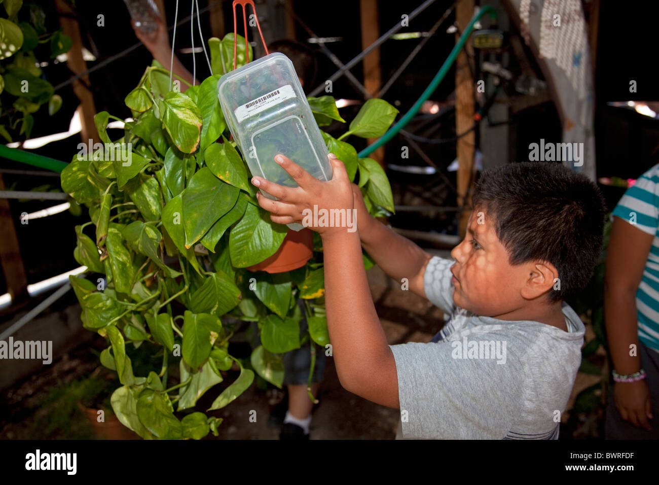 Lanosi Pocket giardino verticale staffe al Centro Scuola di valore, una carta scuola nel centro di Los Angeles, California, Stati Uniti d'America Foto Stock