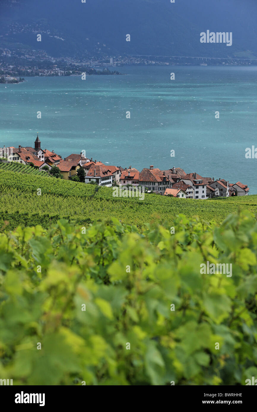 Svizzera Europa Lago di Ginevra sopra Rivaz villaggio all'aperto all'aperto al di fuori del paesaggio di montagna delle Alpi mountain Foto Stock