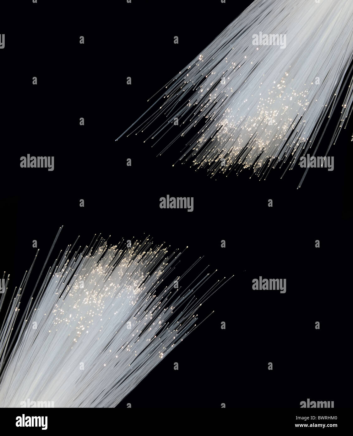 Fibra ottica su nero Foto Stock