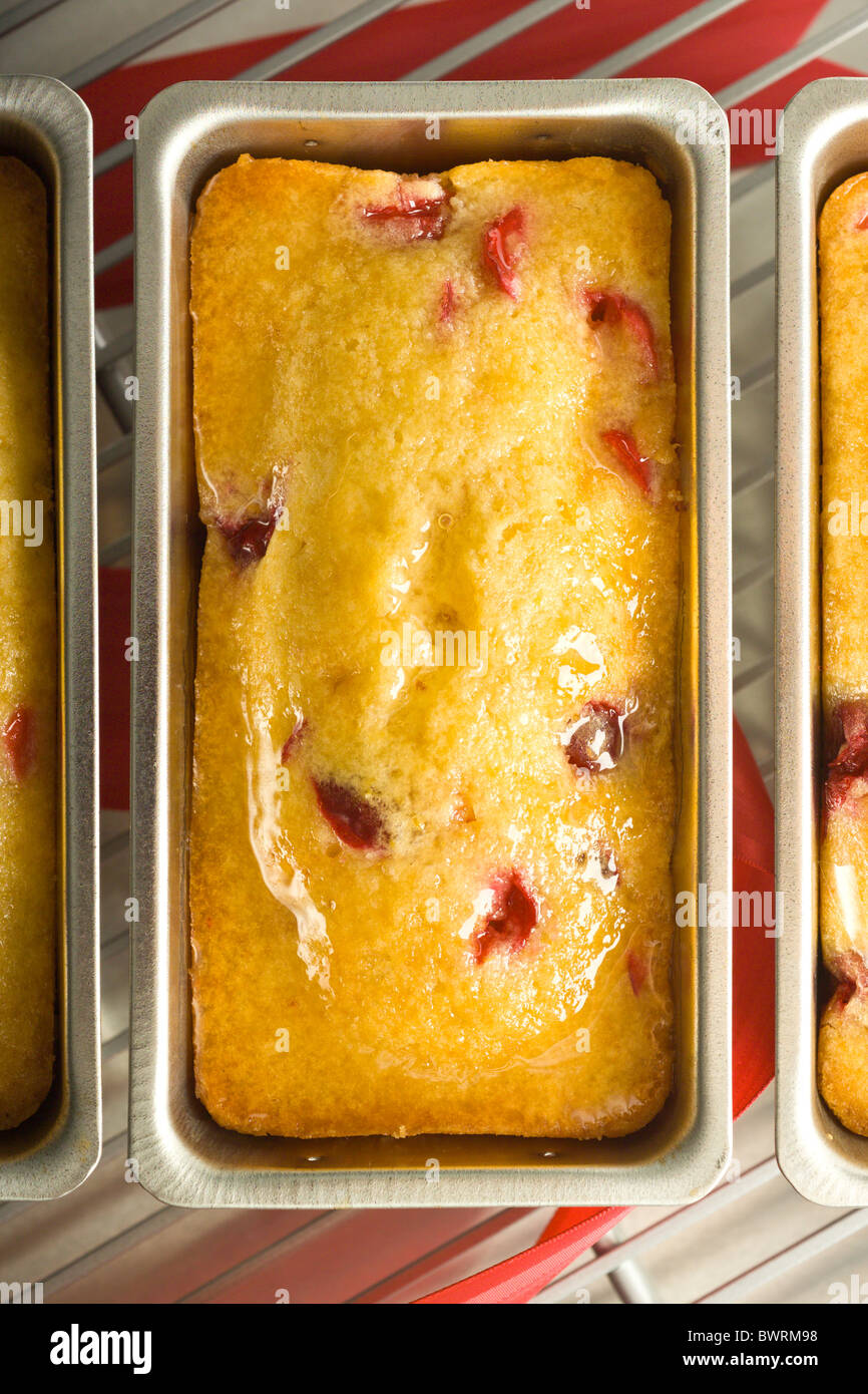 Vetrata Mini Lemon-Cranberry tè Pane. Presentati nel loro stampo di cottura su una griglia di raffreddamento. Foto Stock