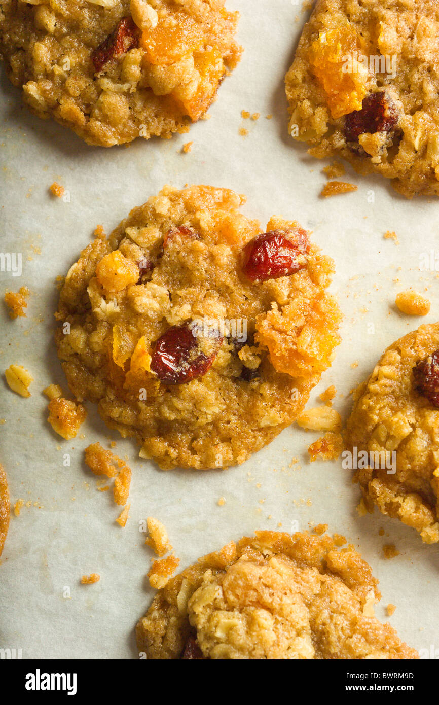 Albicocca, cranberry, fiocchi d'avena cookie. Appena cotto sul loro vassoio foglio e la carta pergamena. Foto Stock