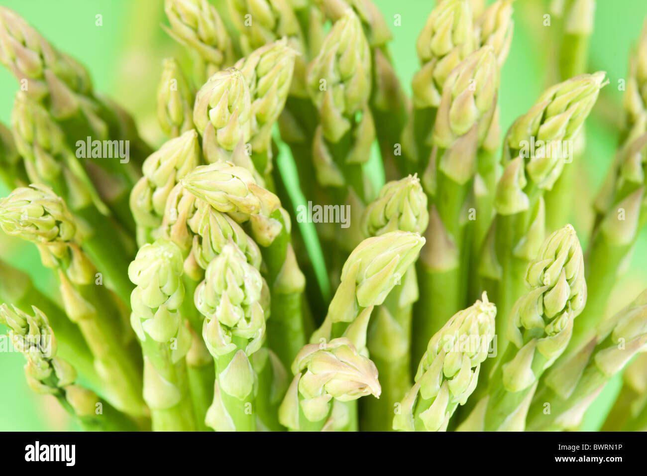 Un covone di asparagi su uno sfondo verde. Foto Stock