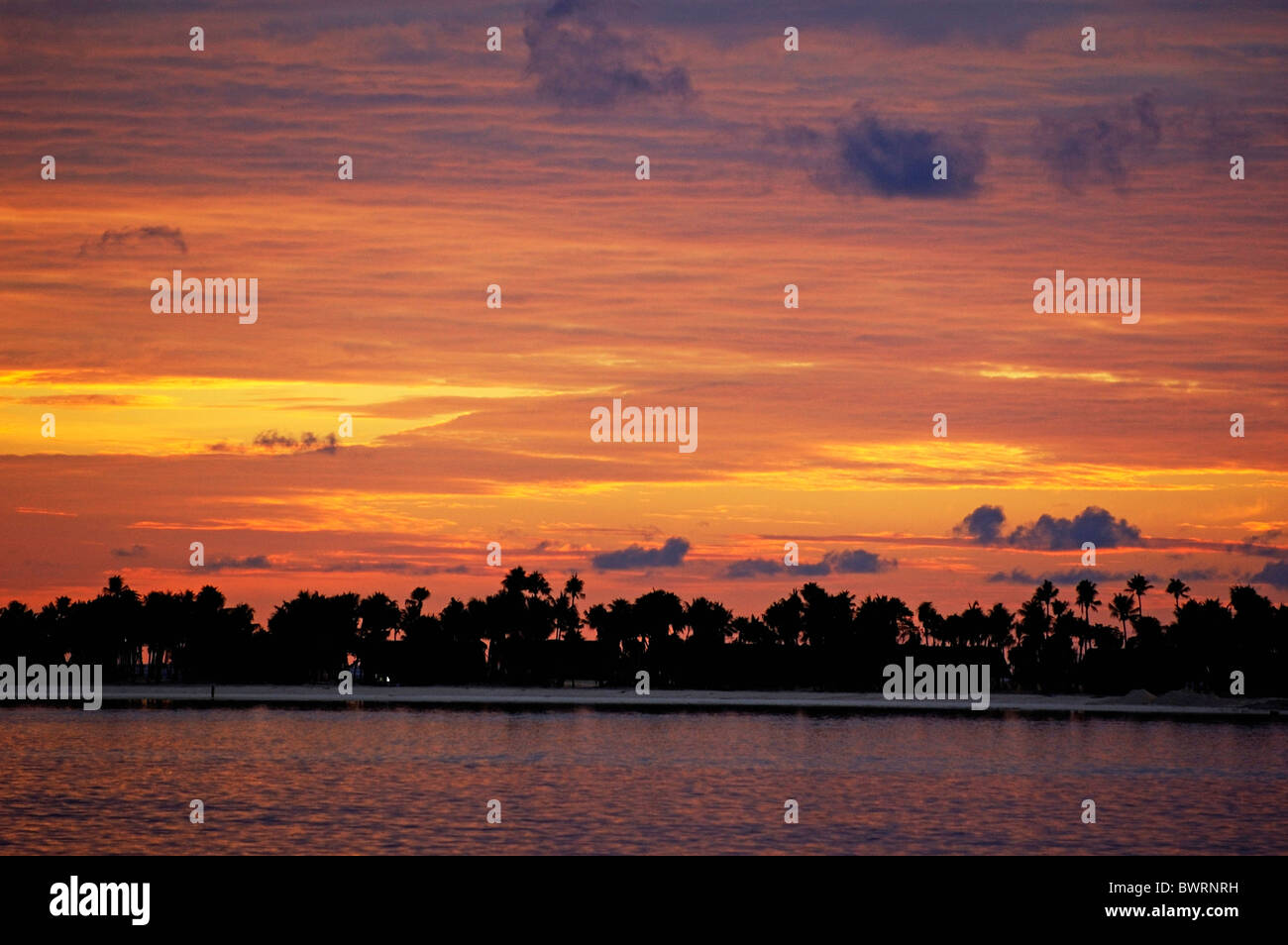 Stagliano fiancheggiata da palme spiaggia contro un suggestivo tramonto, Maldive. Foto Stock