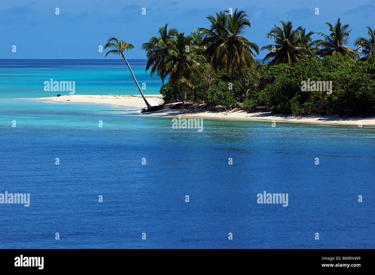 Spiaggia, Maldive - idilliaco fiancheggiata da palme spiaggia di sabbia bianca circondata da blue acque tropicali Foto Stock
