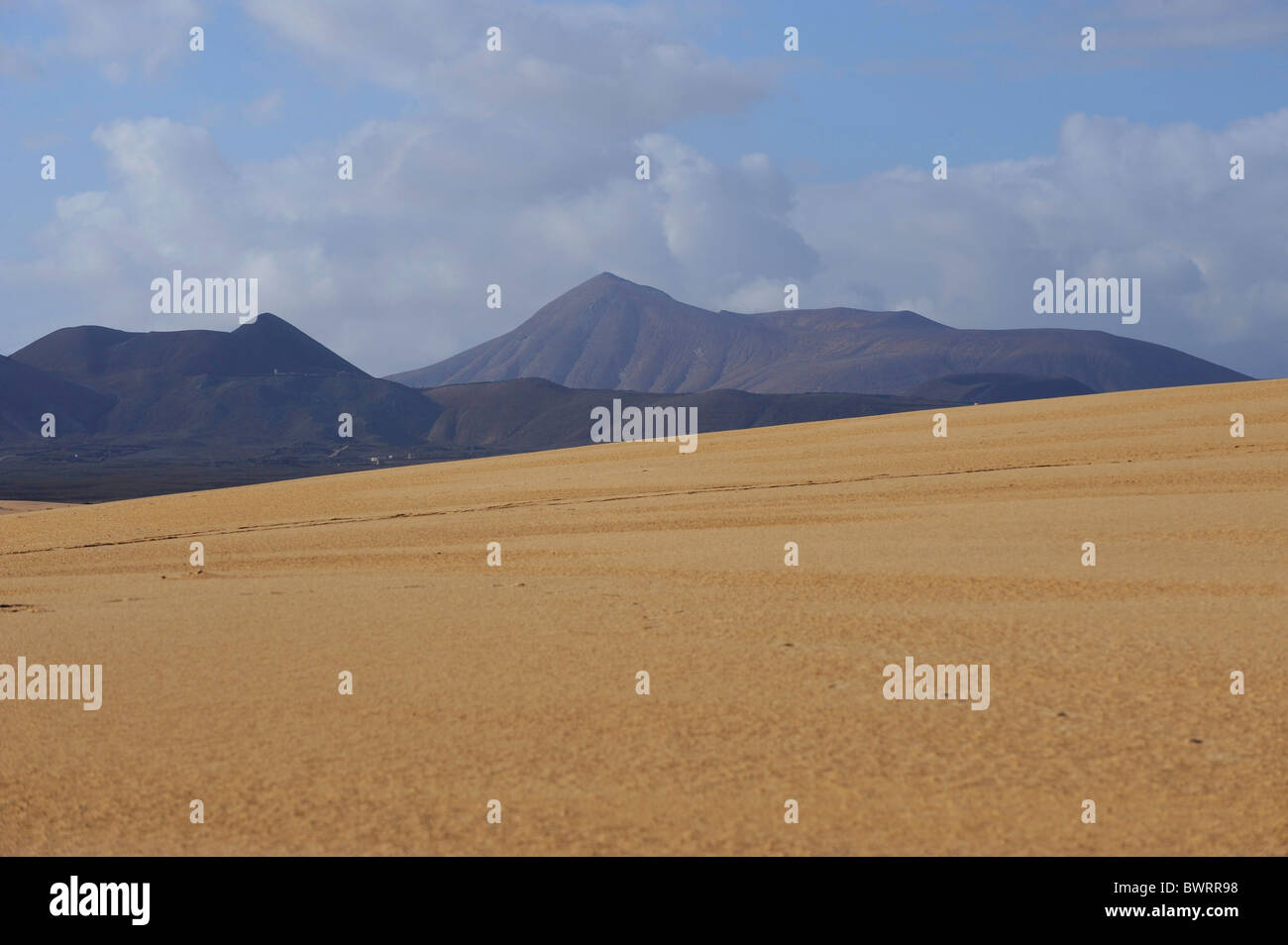 Le dune di Corralejo national park, Fuerteventura, Isole Canarie, Spagna, Europa Foto Stock