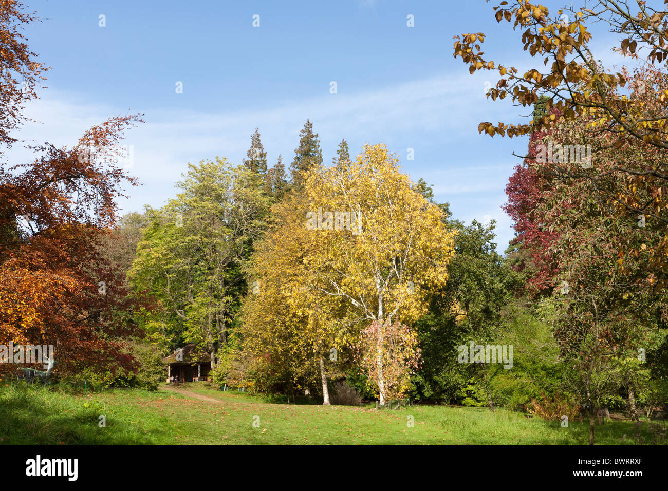 I colori autunnali a Batsford Arboretum, Gloucestershire Foto Stock