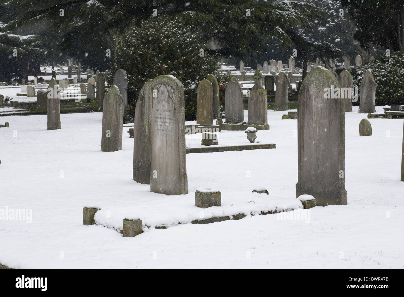 Graves nella neve Foto Stock