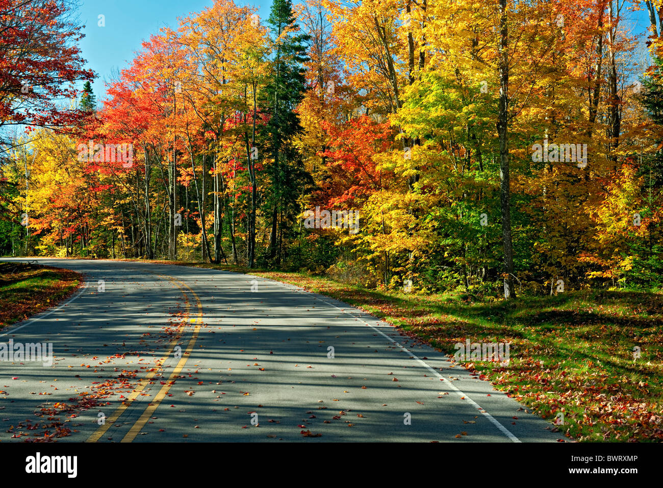 Autostrada 58 passa attraverso l'autunno splendore del Pictured Rocks National Lakeshore e Penisola Superiore del Michigan.. Foto Stock