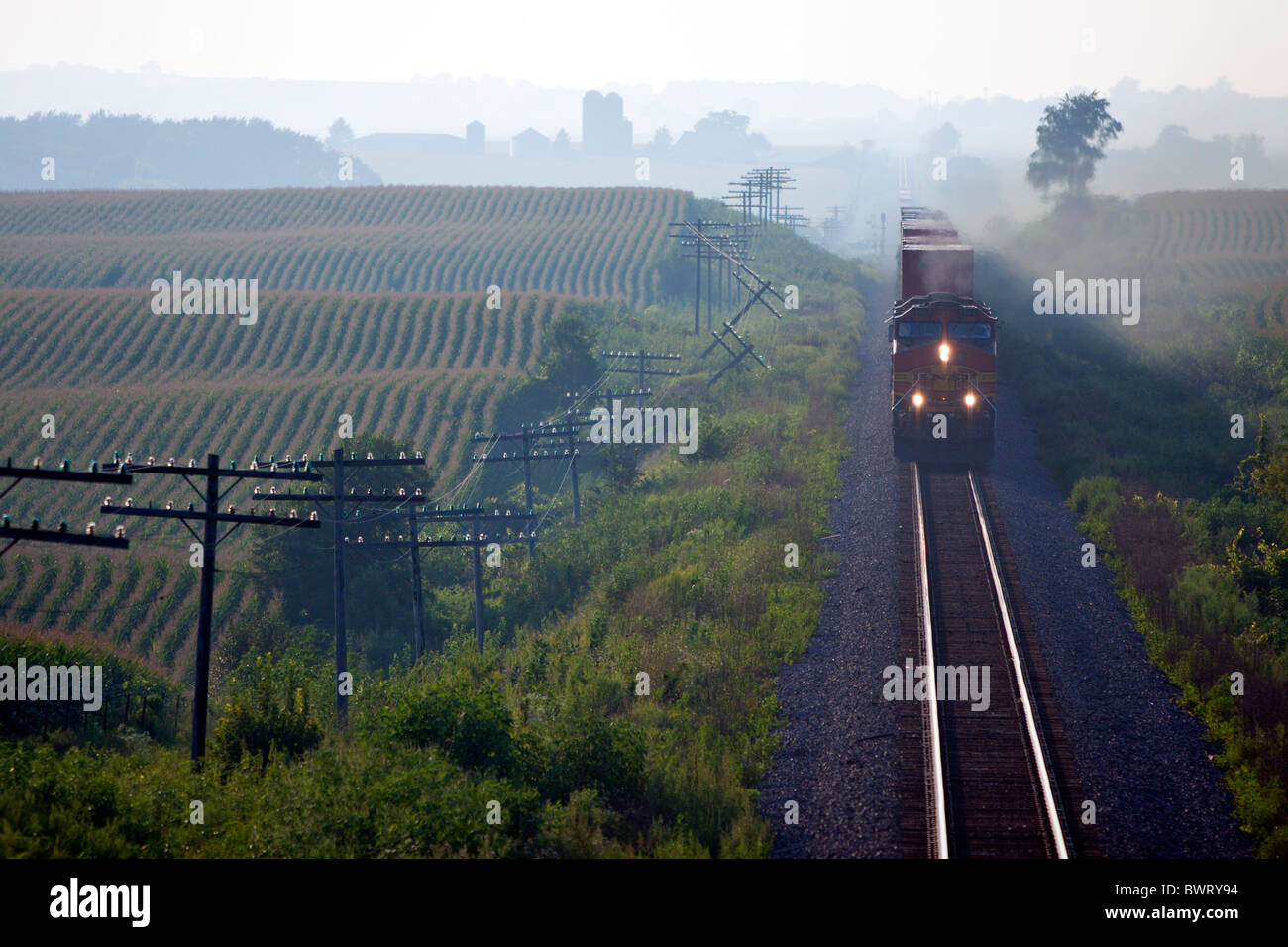 BNSF treno merci il rotolamento sulle pianure del nord dell'Illinois. Foto Stock