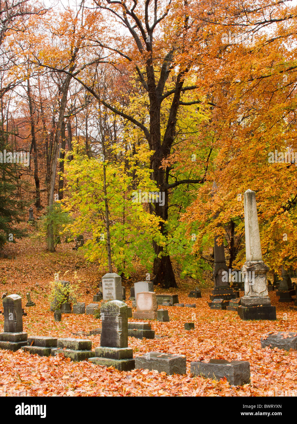 Mount Hope Cemetery in Rochester New York STATI UNITI D'AMERICA Foto Stock