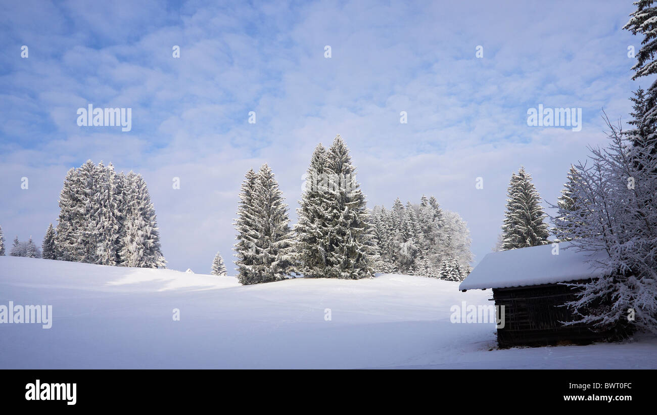 Paesaggio Di Inverno in Algovia orientale delle Alpi Foto Stock