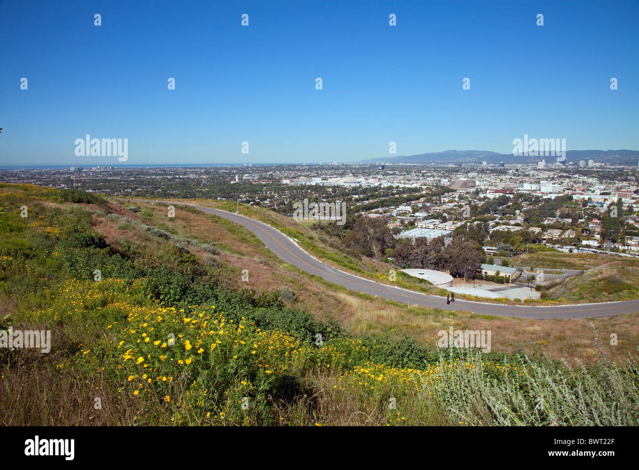 La molla fiori selvaggi che punteggiano il paesaggio a Baldwin Hills Scenic si affacciano sul parco statale, Culver City, Los Angeles, California, Stati Uniti d'America Foto Stock