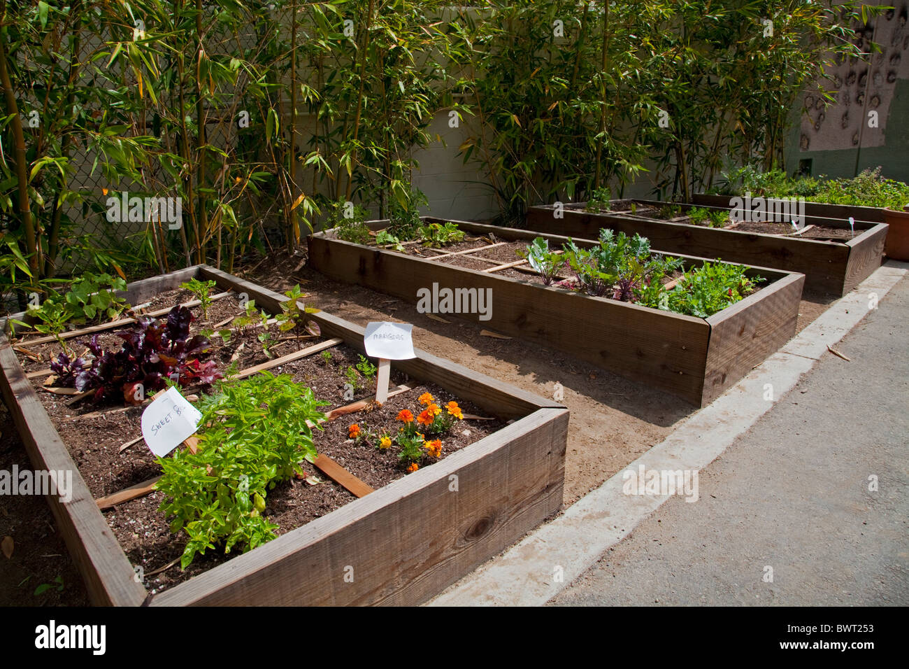 Giardino della scuola presso il paese delle meraviglie Scuola Elementare, Laurel Canyon, Los Angeles, California, Stati Uniti d'America Foto Stock