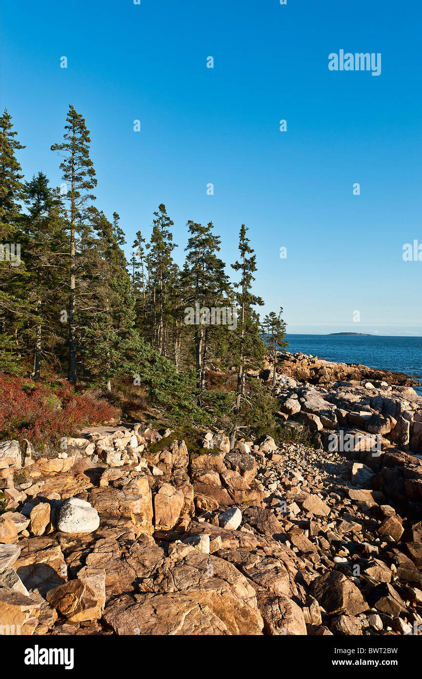 Costa rocciosa a nave Porto, Acadia NP, Maine, ME, STATI UNITI D'AMERICA Foto Stock