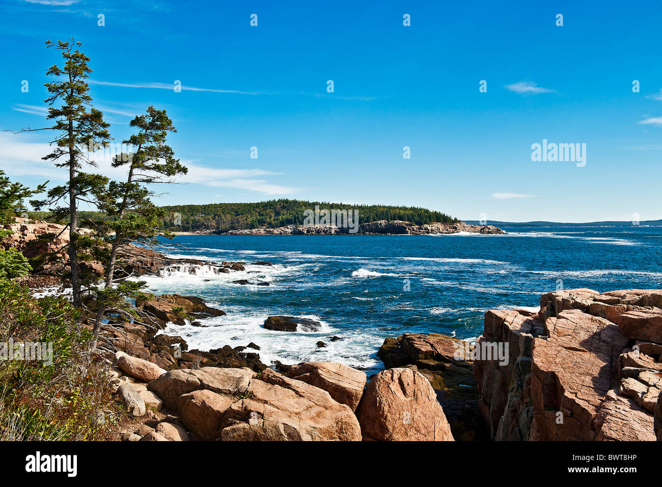 Il paesaggio costiero, Ocean Drive, Acadia NP, Maine, Stati Uniti d'America Foto Stock