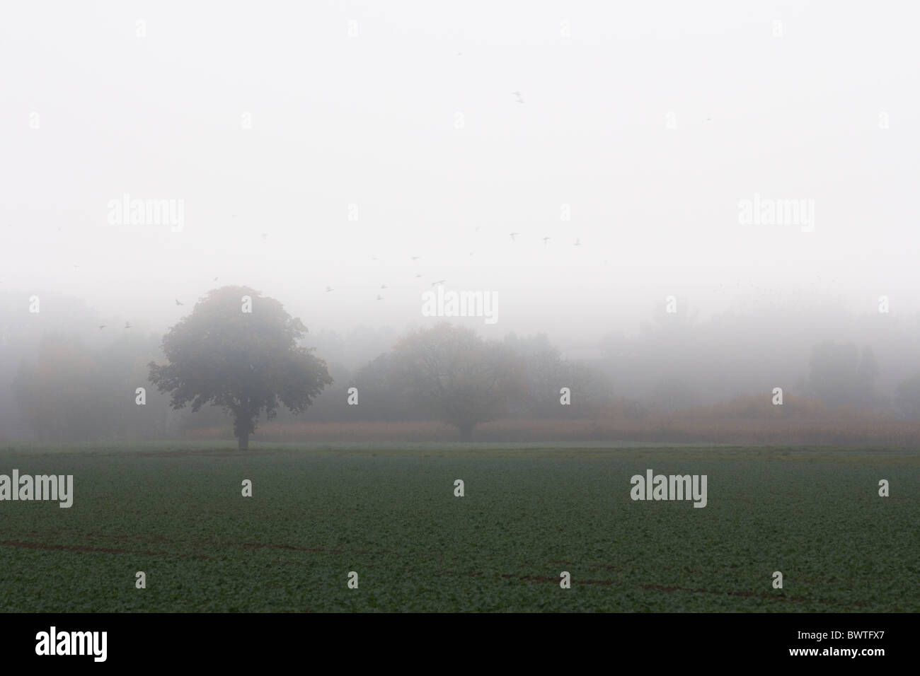 Das Bild zeigt eine Landschaft im Nebel. La foto mostra un paesaggio e nebbia. Foto Stock