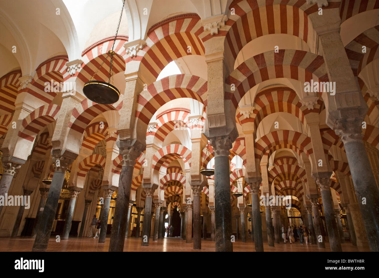 Soffitti all'interno della Catedral de Cordoba, un ex moschea medievale, Cordoba, Andalusia, Spagna. Foto Stock