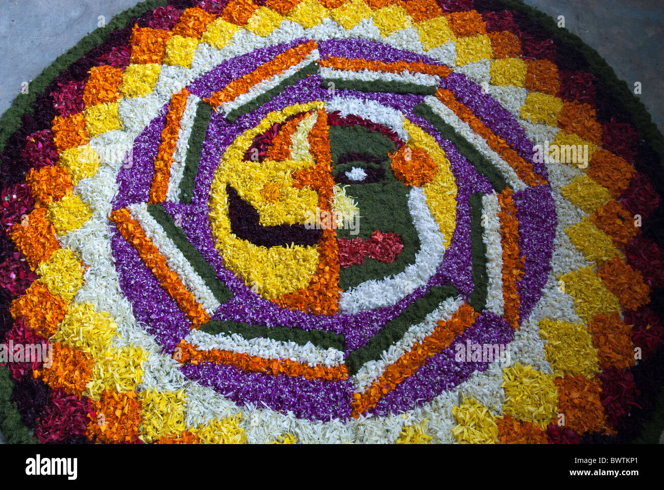 Decorazioni di fiori per il festival di onam, Kerala. India. Foto Stock